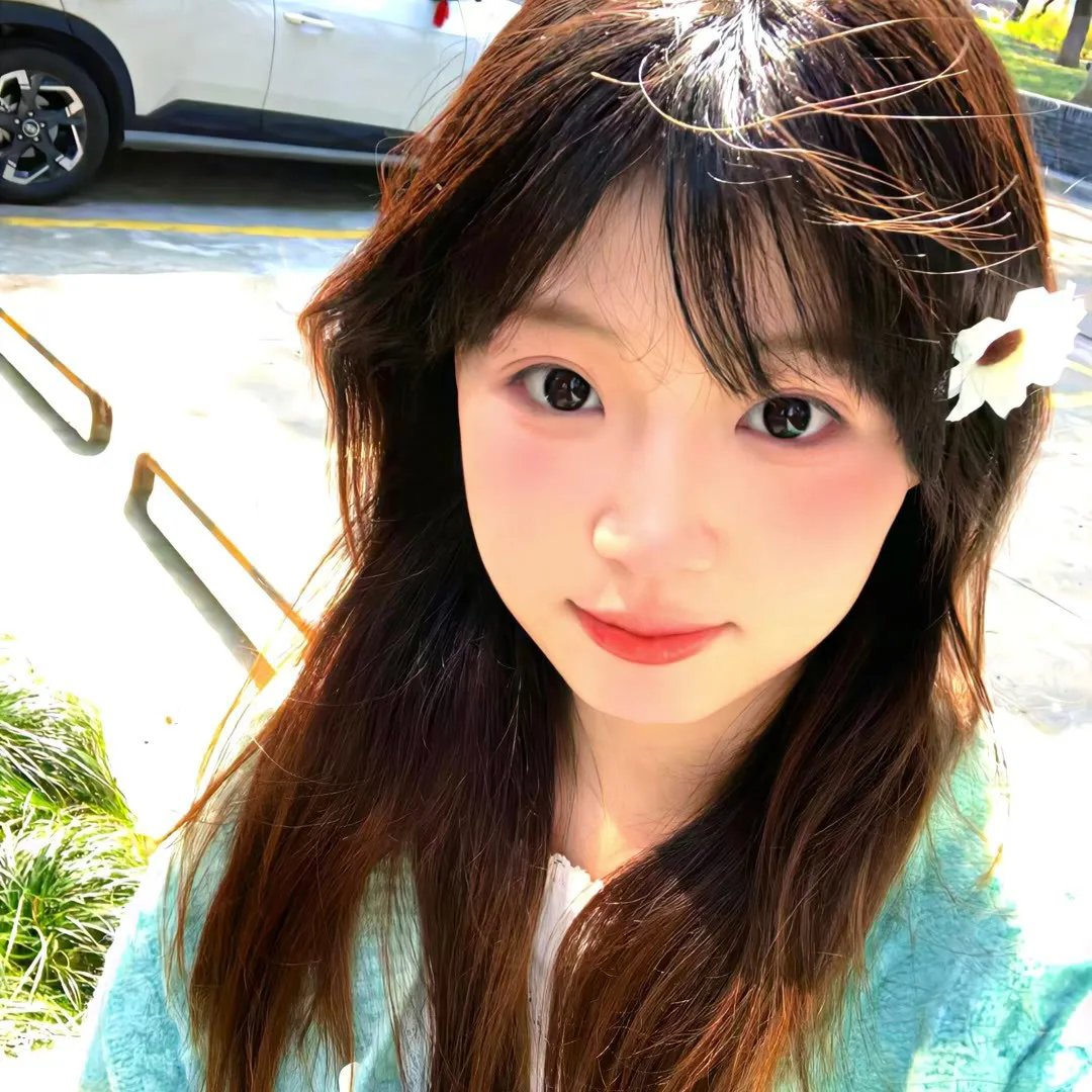莫丽的朝圣